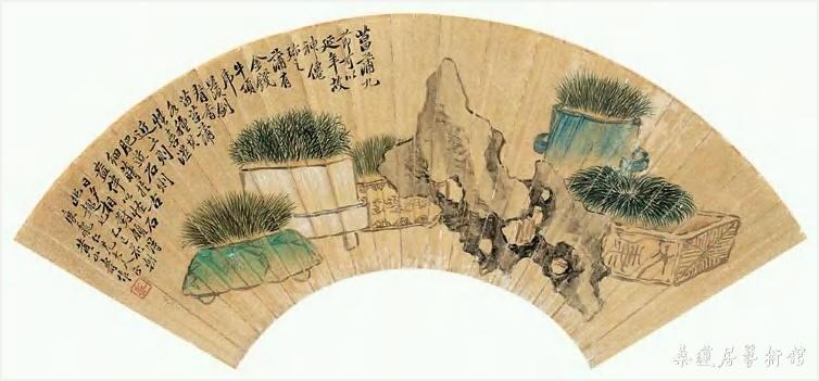 黄山寿 蒲石清供图