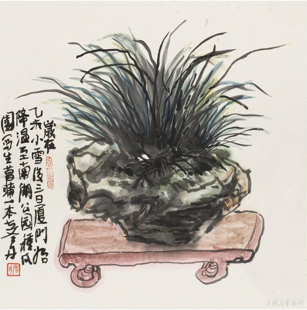 陈彦舟 菖蒲写生稿 35×35cm 缩图