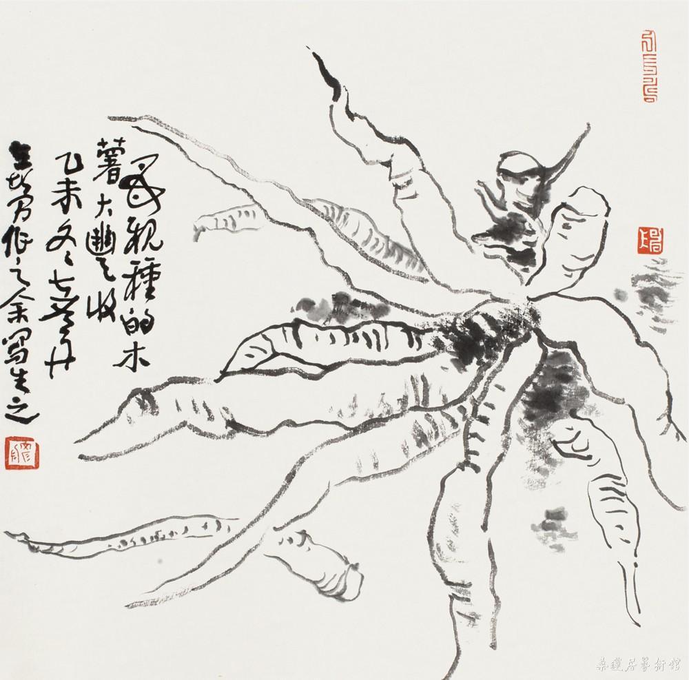 陈彦舟 木薯丰收 35×35cm 缩图