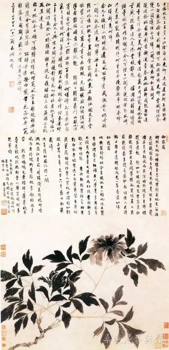 明 沈周《牡丹图》国色天香 花鸟画立轴