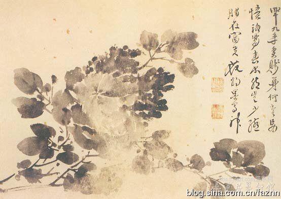 明 徐渭 牡丹图