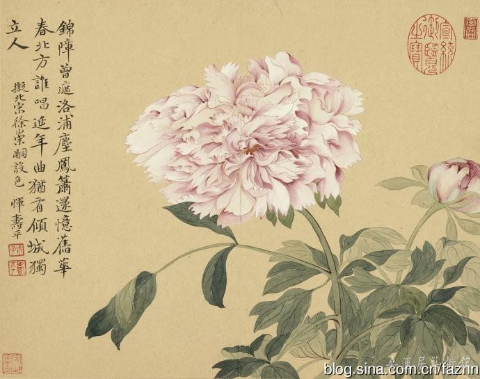 清代恽寿平牡丹图2