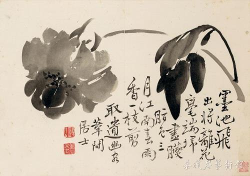 清代 边寿民 《牡丹》