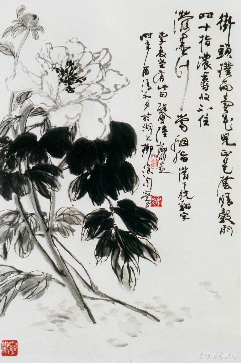 近现代 陆抑非《墨牡丹》