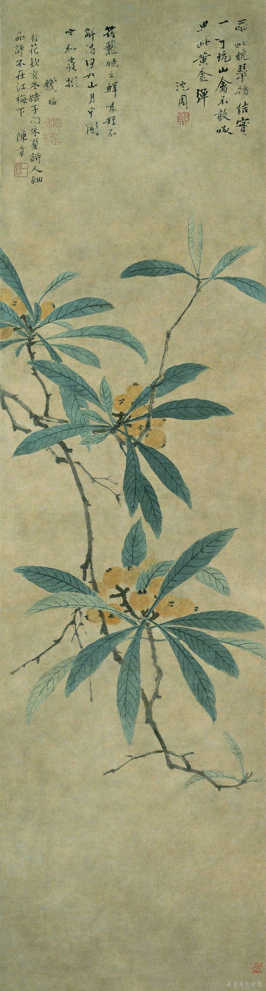 沈周 枇杷图 故宫博物院藏