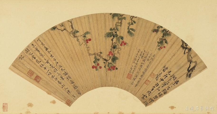 陈淳 雪里红 19.3×52.6cm 台北故宫博物院藏