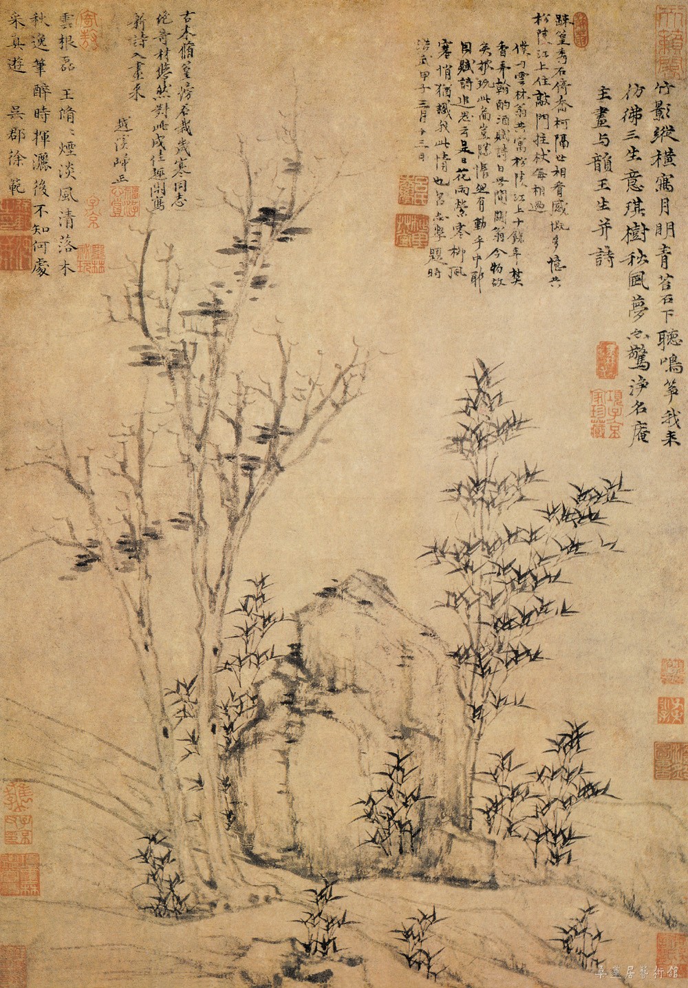 倪瓒《琪树秋风图》 立轴 纸本 纵62厘米 横43.3厘米 上海博物馆藏.jpg