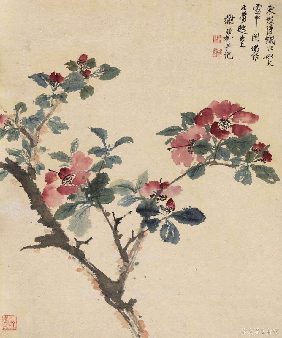 谢稚柳 红山茶 纸本设色 57.5×48cm
