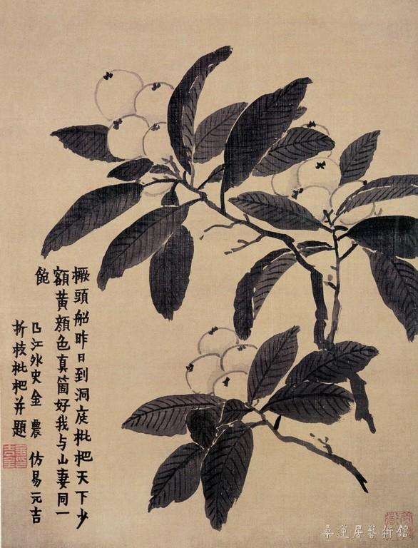 4 金农 折枝枇杷图