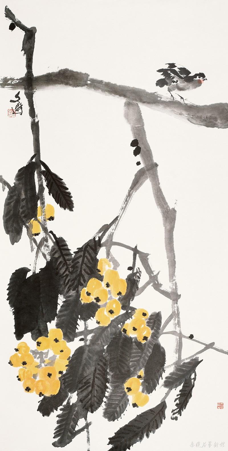 枇杷山鸟 (1) 缩图