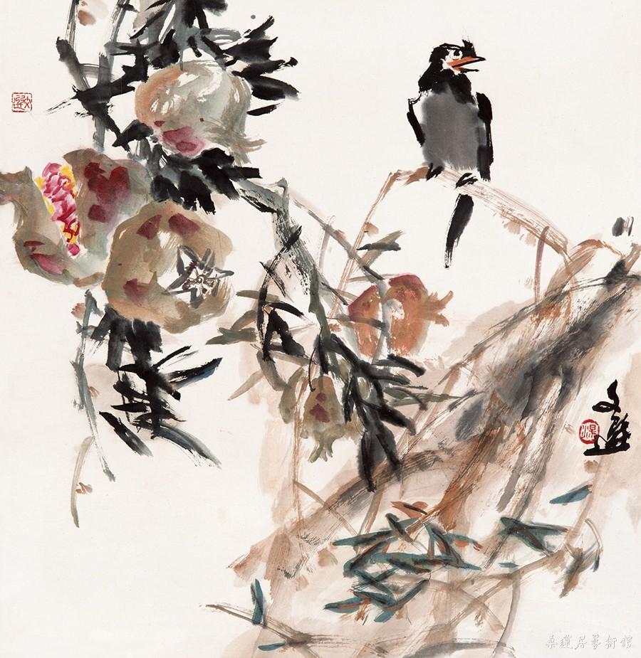 石榴八哥 (1) 缩图