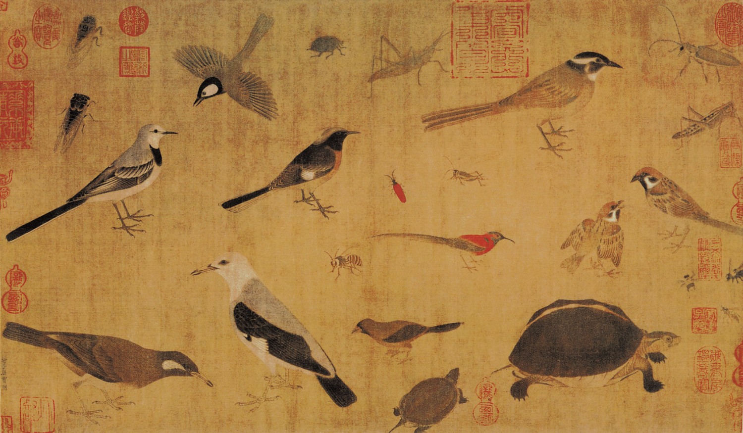 五代 黄筌 珍禽图 绢本设色 41.5×70cm 故宫博物院藏 《写生珍禽图》上面用工细的手法绘有数十种鸟虫。其中有山雀、鶺鴒、斑鸠、蚱蜢、蜜蜂、牵牛、乌龟等。每种动物都描绘得十分精巧、肖似。无论羽毛、鳞翅,都具有很强的质感,称得上活灵活现,栩栩如生。两只乌龟是以侧上方俯视的角度进行描绘,透视关系准确精到,显示了作者娴熟的造型能力和精湛的笔墨技巧,令人赞叹不已。画幅的左下角有一行小字:“付子居宝习”,由此可知,这幅《写生珍禽图》是作者为创作而收集的素材