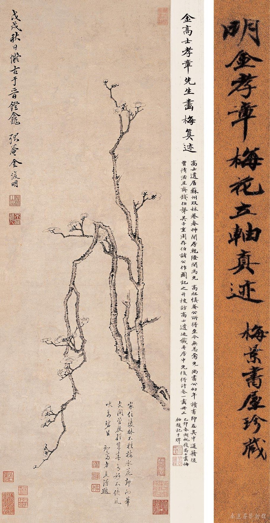清 金俊明 梅花 纸本水墨 保利2008春拍 成交价123.2万元
