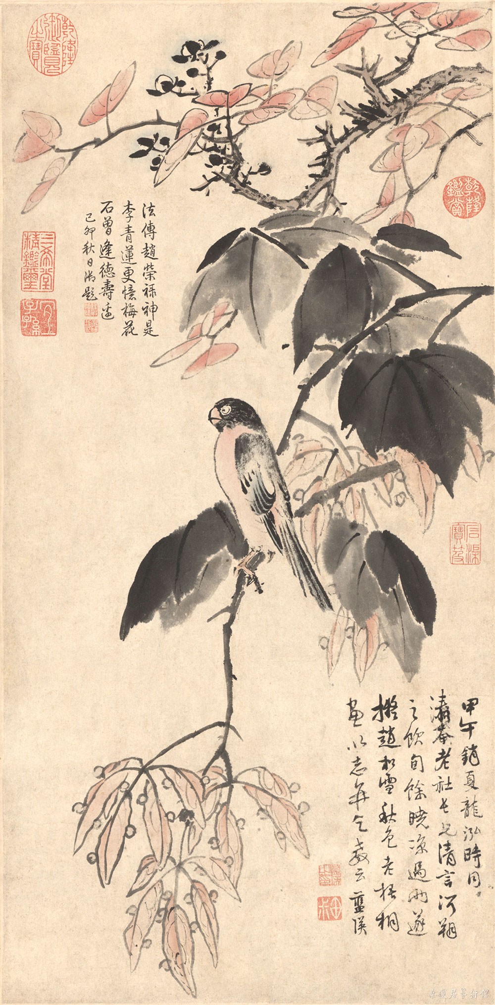 明 蓝瑛秋色梧桐图 轴 纸本设色 纵65厘米 横31.8厘米顺治一年甲午（1654年）故宫博物院藏