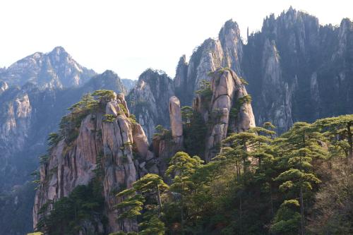 图20