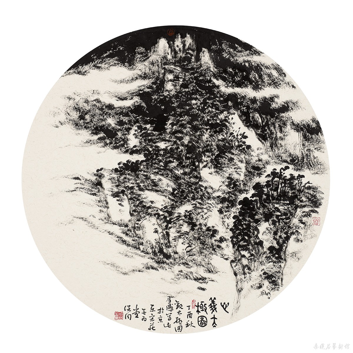 DSV_8077 缩图