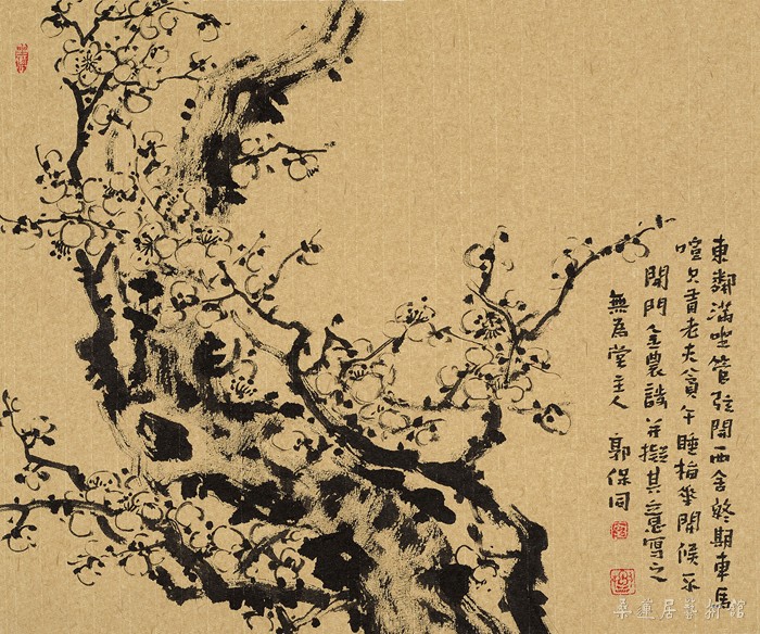 DSV_8120 缩图2