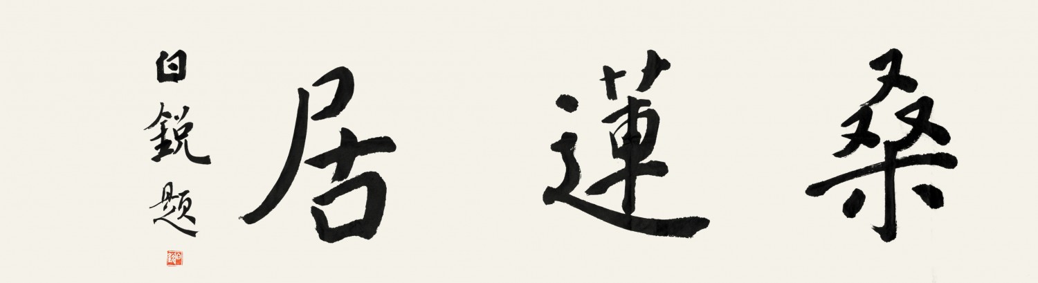 白锐