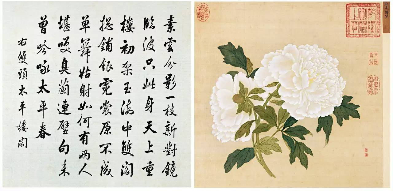 百种牡丹谱之太平楼阁