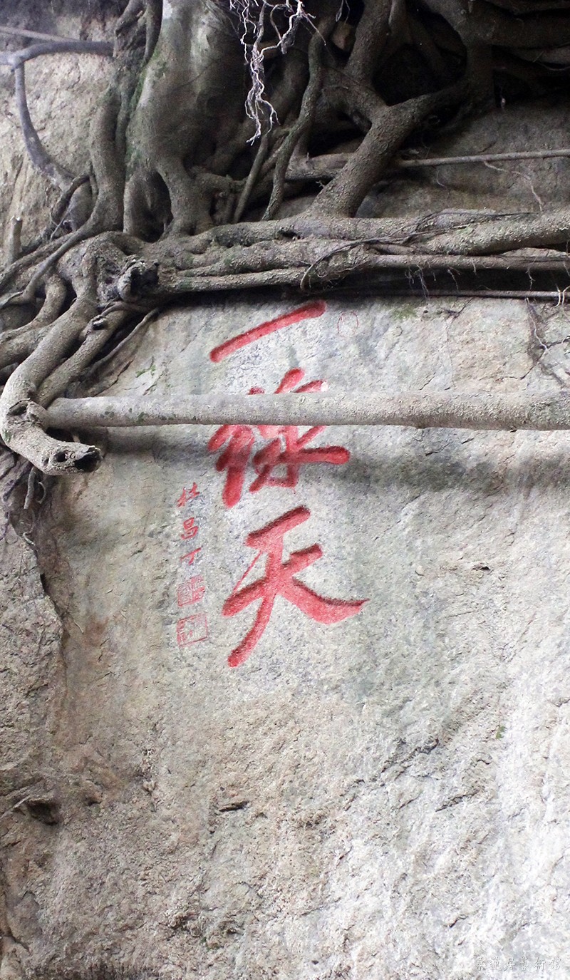杜昌丁 一线天