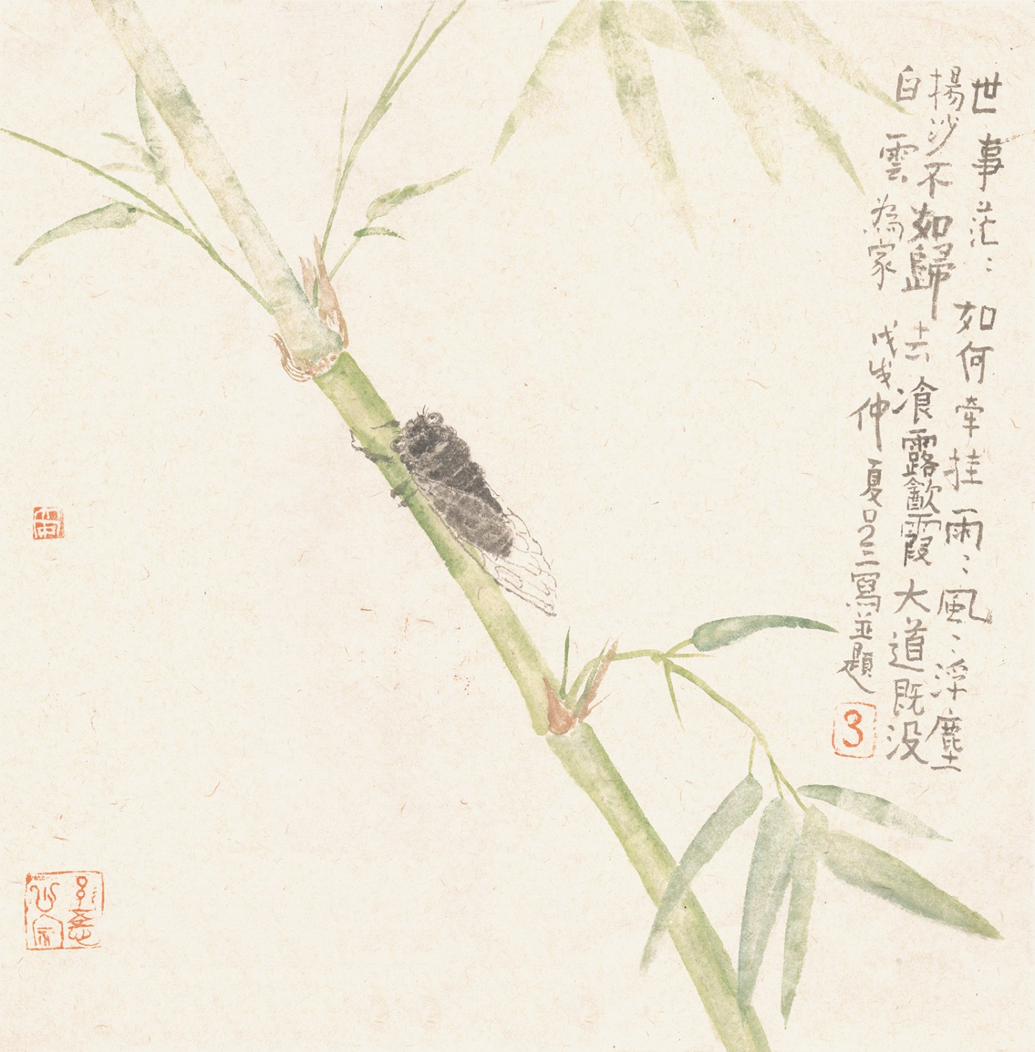 竹蝉（35cmX35cm)