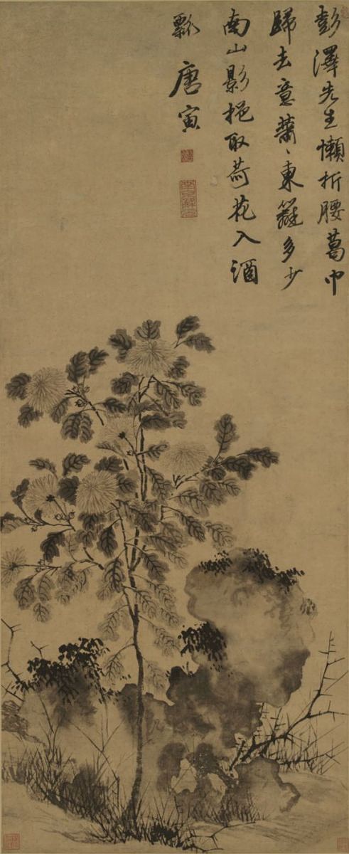 菊花图 唐寅