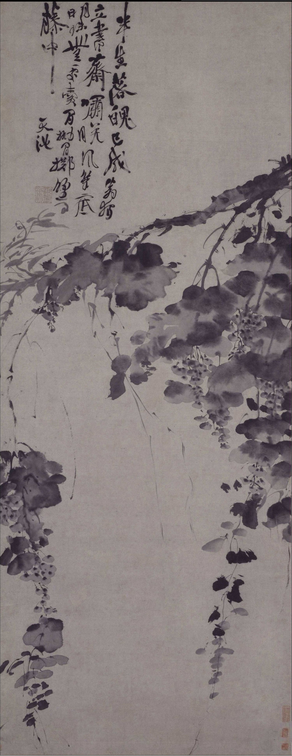 明 徐渭 墨葡萄图 纸本水墨 纵116.4厘米横64.3厘米 故宫博物院藏.jpg 明 徐渭 墨葡萄图 纸本水墨 纵116.4厘米横64.3厘米 故宫博物院藏
