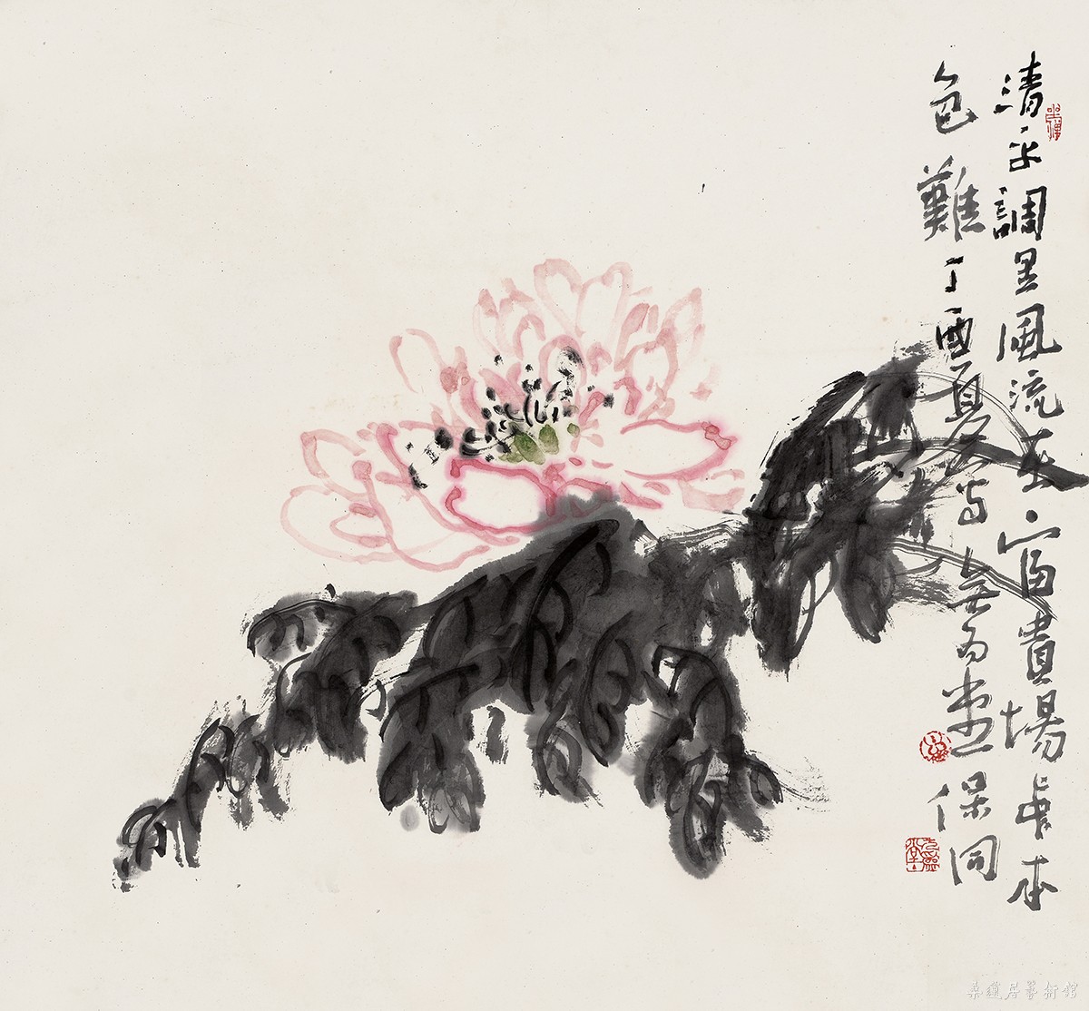 DSV_8072 缩图