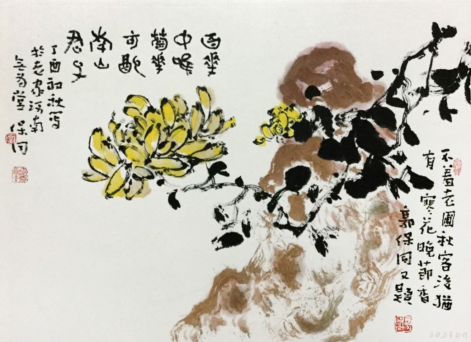 菊石图