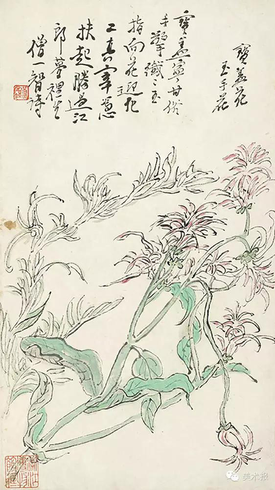 黄山野卉册1 (1) 副本.jpg 黄山野卉册1 (1) 副本.jpg