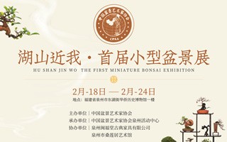 桑莲居｜湖山近我——首届小型盆景展正月十四开幕