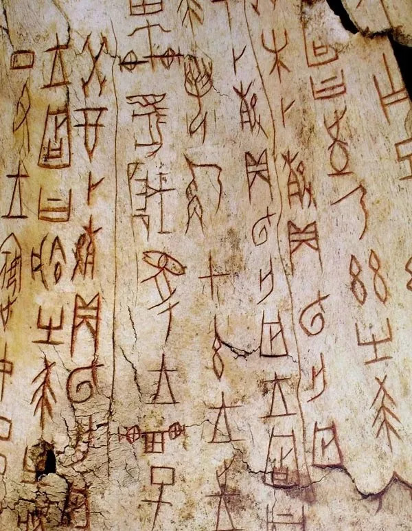 篆书 殷商《涂朱狩猎牛骨刻辞》(正面局部)