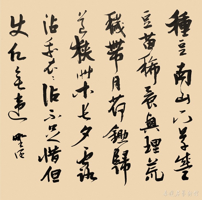 6 缩图2