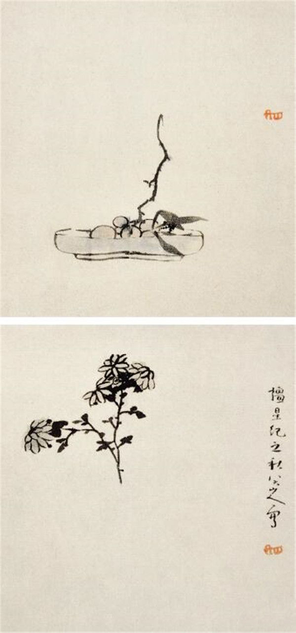 清 八大山人 花果册页之果盘、菊花 18.1cm×19.9cm 上海博物馆藏 2