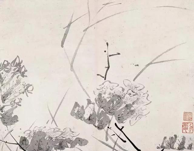 清 八大山人 传綮写生图之芙蓉 31.5cm×24.5cm 1659 台北故宫博物院藏