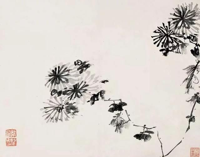 清 八大山人 传綮写生图之菊 31.5cm×24.5cm 1659 台北故宫博物院藏