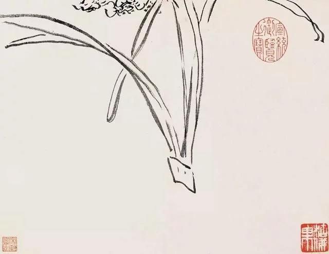 清 八大山人 传綮写生图之水仙 31.5cm×24.5cm 1659 台北故宫博物院藏