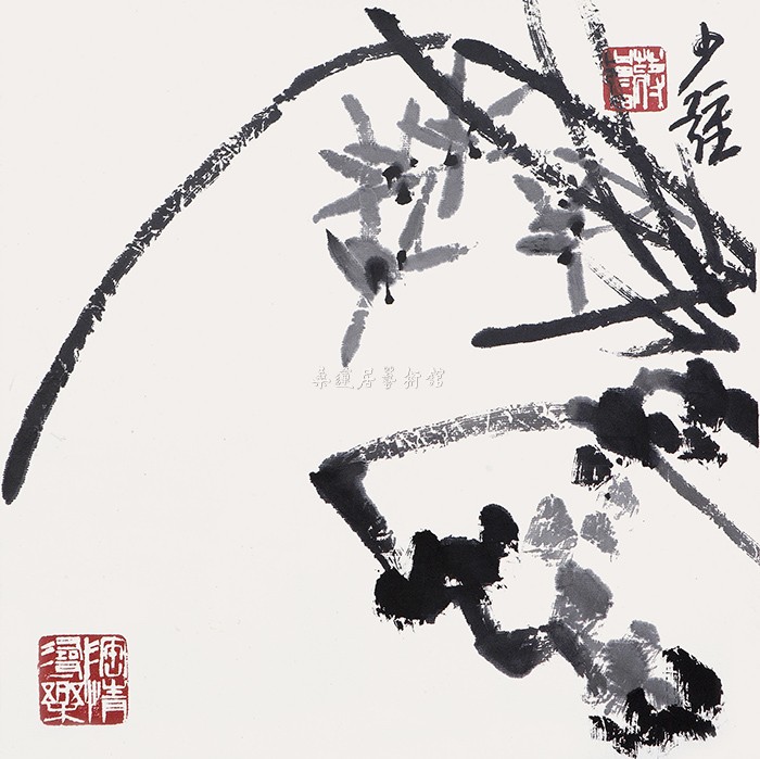J-245 蒋少强 墨兰 34×34cm 水墨纸本托片 副本缩图 IMG_0212